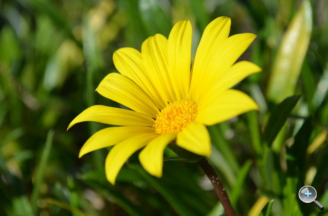 Nikon D5100 介紹圖片 - 8 Nikon D5100 介紹圖片 - 8