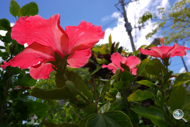 Panasonic LUMIX GF3 試玩連載（四）：沖繩旅行篇