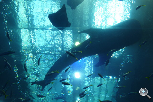 Panasonic LUMIX GF3 試玩連載（四）：沖繩旅行篇