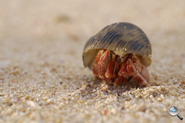 Panasonic LUMIX GF3 試玩連載（四）：沖繩旅行篇