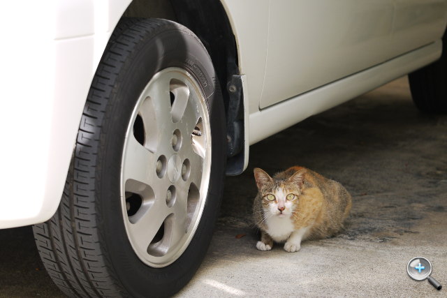 Panasonic LUMIX GF3 試玩連載（四）：沖繩旅行篇