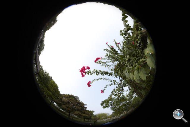 Canon EF 8-15mm F4L Fisheye USM 魚眼試玩實拍! - 26 Canon EF 8-15mm F4L Fisheye USM 魚眼試玩實拍! - 26