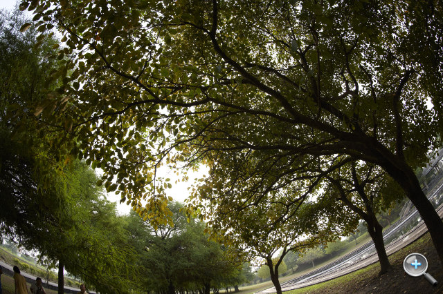Canon EF 8-15mm F4L Fisheye USM 魚眼試玩實拍! - 33 Canon EF 8-15mm F4L Fisheye USM 魚眼試玩實拍! - 33