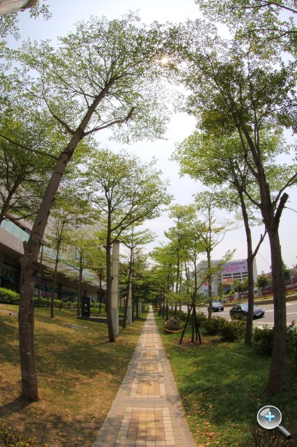 Canon EF 8-15mm F4L Fisheye USM 魚眼試玩實拍! - 22 Canon EF 8-15mm F4L Fisheye USM 魚眼試玩實拍! - 22