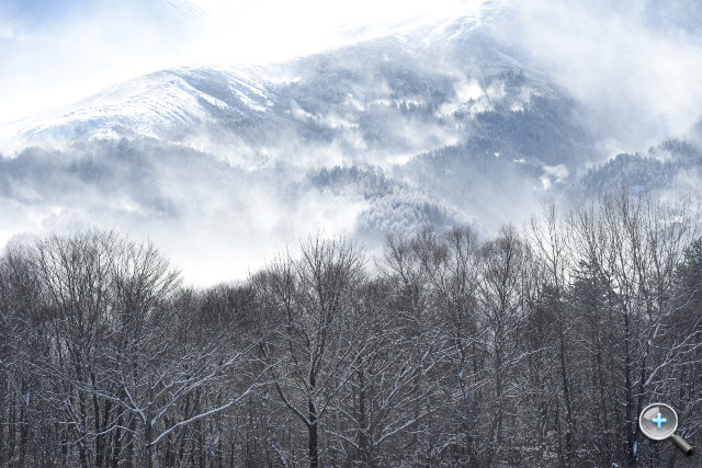 Nikon D800 介紹圖片 - 21 Nikon D800 介紹圖片 - 21