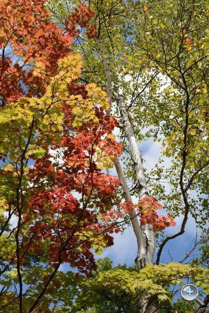 Nikon D800 介紹圖片 - 19 Nikon D800 介紹圖片 - 19