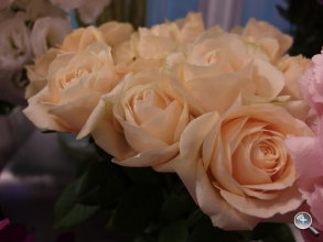 Samsung EX2F 試玩實拍、$16,990 即日發售! Samsung EX2F 試玩實拍、$16,990 即日發售!