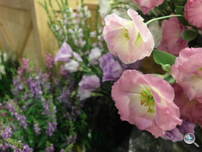 Samsung EX2F 試玩實拍、$16,990 即日發售! Samsung EX2F 試玩實拍、$16,990 即日發售!