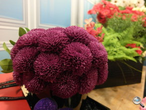 Samsung EX2F 試玩實拍、$16,990 即日發售! Samsung EX2F 試玩實拍、$16,990 即日發售!