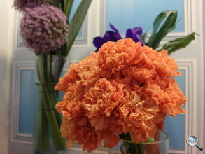 Samsung EX2F 試玩實拍、$16,990 即日發售! Samsung EX2F 試玩實拍、$16,990 即日發售!