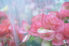 完熟之作：Sony NEX-5R 試玩、實拍分享