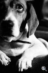 完熟之作：Sony NEX-5R 試玩、實拍分享