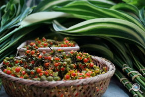 完熟之作：Sony NEX-5R 試玩、實拍分享