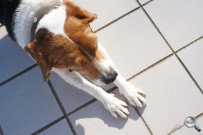 完熟之作：Sony NEX-5R 試玩、實拍分享