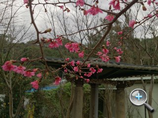 防水防塵,影像音樂:Sony Xperia Z 重點試到盡 防水防塵,影像音樂:Sony Xperia Z 重點試到盡