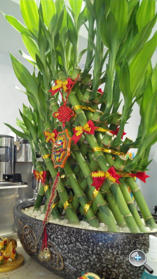 紅米手機 3G WCDMA 推出有望! 零距離搶先試 紅米手機 3G WCDMA 推出有望! 零距離搶先試