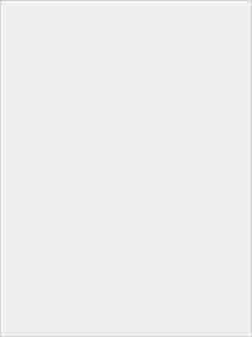 Dxomark 影相部份 101 分! iPhone X 新雙鏡 拍攝效果評測-14 Dxomark 影相部份 101 分! iPhone X 新雙鏡 拍攝效果評測-14