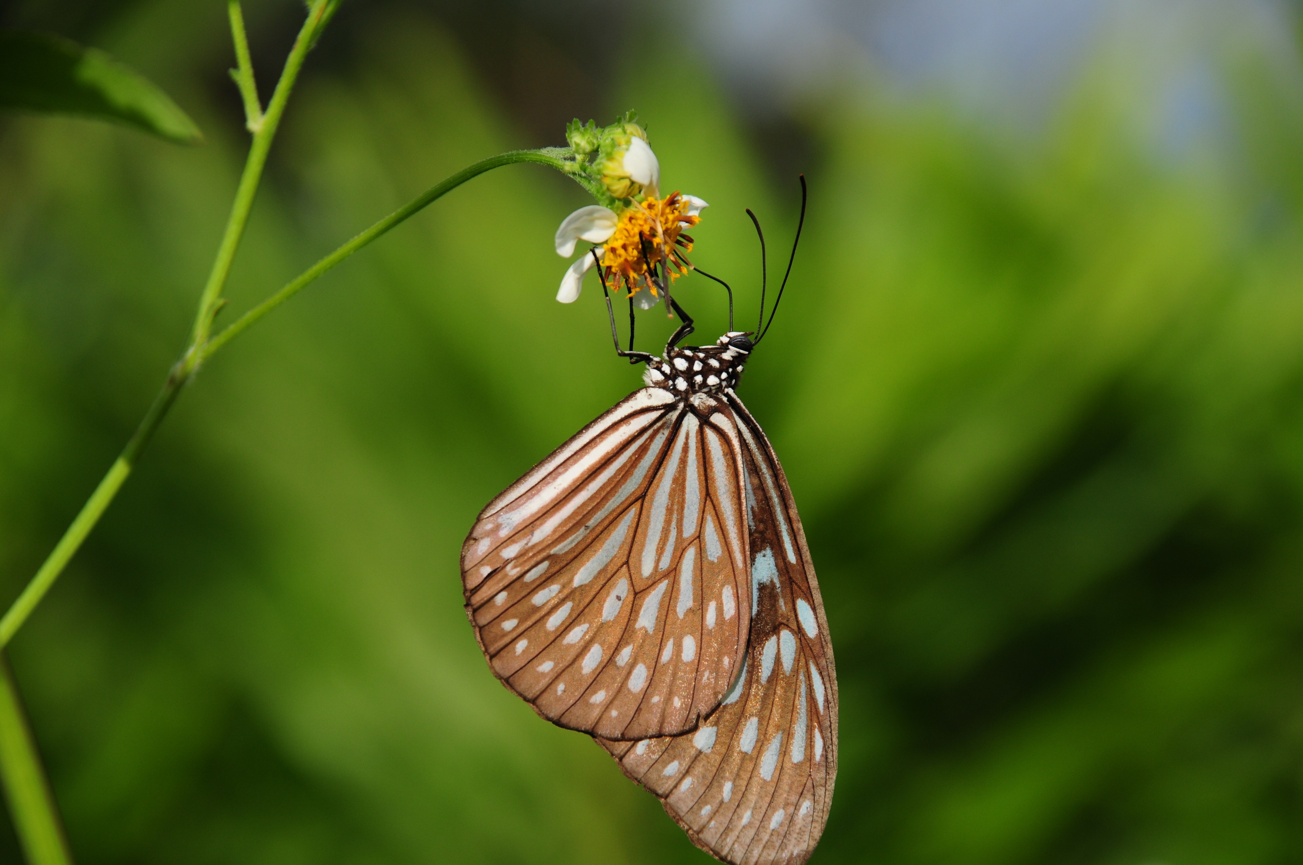 nikon d300s 评测报告