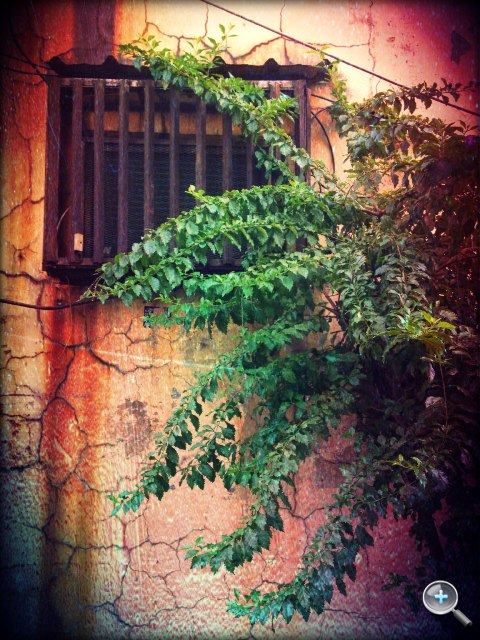 照片.JPG放大鏡圖 //timg.eprice.com.tw/tw/mobile/img/2012-02/10/4735736/oscar210_5_Apple-iPhone-4S-16GB_8673b8d71c1bae13f23e00f5a272fbf8.JPG