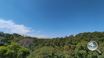 IMG_20201115_105833.jpg