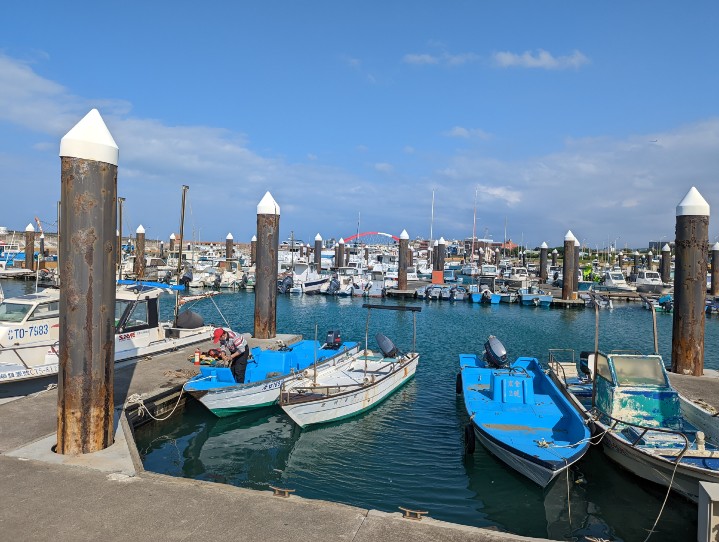 Pixel 6 Pro 標準鏡頭