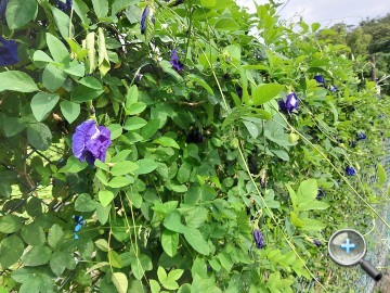 20190604_152156.jpg 20190604_152156.jpg